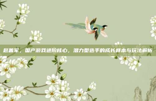 赵善军，国产游戏进阶核心，潜力型选手的成长样本与玩法解析