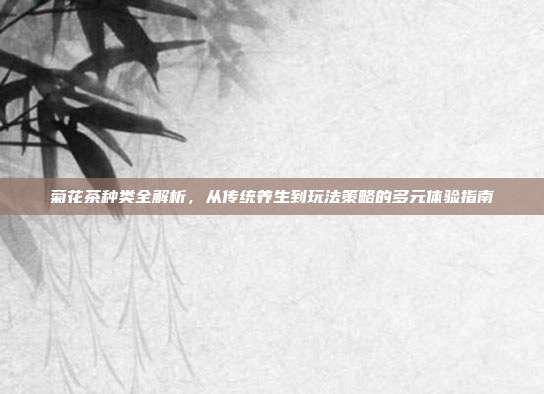 菊花茶种类全解析，从传统养生到玩法策略的多元体验指南