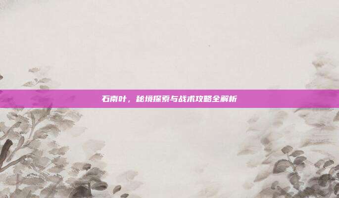 石南叶，秘境探索与战术攻略全解析
