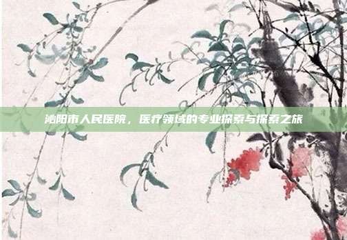 沁阳市人民医院，医疗领域的专业探索与探索之旅