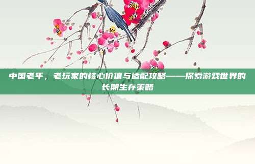 中国老年，老玩家的核心价值与适配攻略——探索游戏世界的长期生存策略