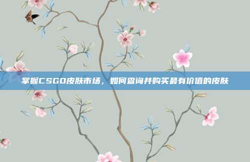 掌握CSGO皮肤市场，如何查询并购买最有价值的皮肤