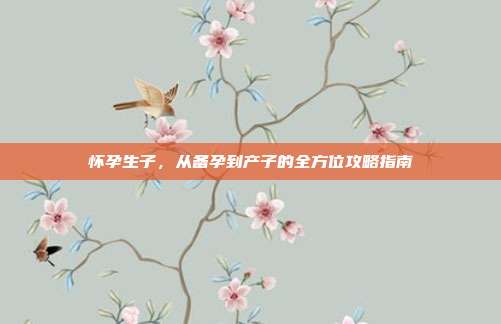 怀孕生子，从备孕到产子的全方位攻略指南