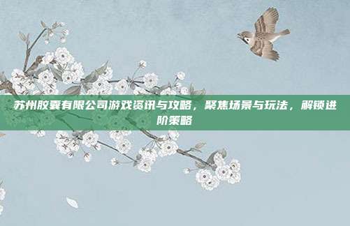苏州胶囊有限公司游戏资讯与攻略，聚焦场景与玩法，解锁进阶策略
