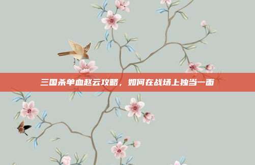 三国杀单血赵云攻略，如何在战场上独当一面