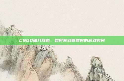 CSGO租刀攻略，如何有效管理你的游戏时间