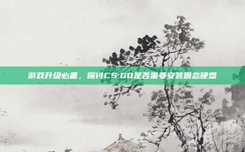 游戏升级必备，探讨CS:GO是否需要安装固态硬盘