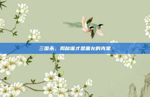 三国杀，揭秘谁才是董允的克星