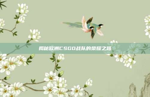 揭秘欧洲CSGO战队的荣耀之路