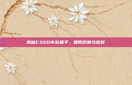 揭秘CSGO车队喷子,如何识别与应对