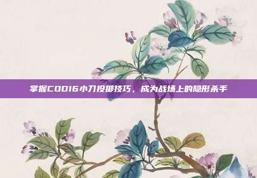 掌握COD16小刀投掷技巧,成为战场上的隐形杀手