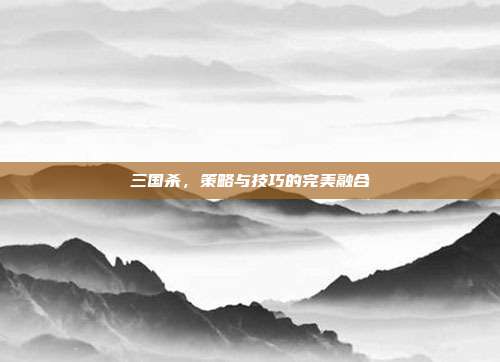 三国杀,策略与技巧的完美融合