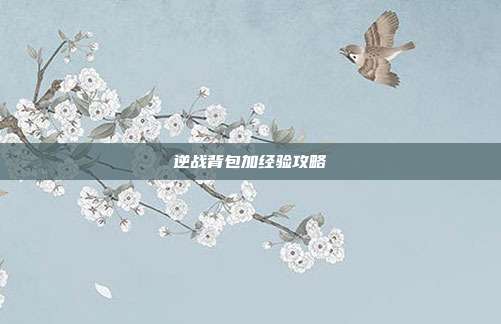 逆战背包加经验攻略