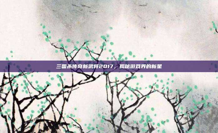 三国杀传奇新武将2017,揭秘游戏界的新星