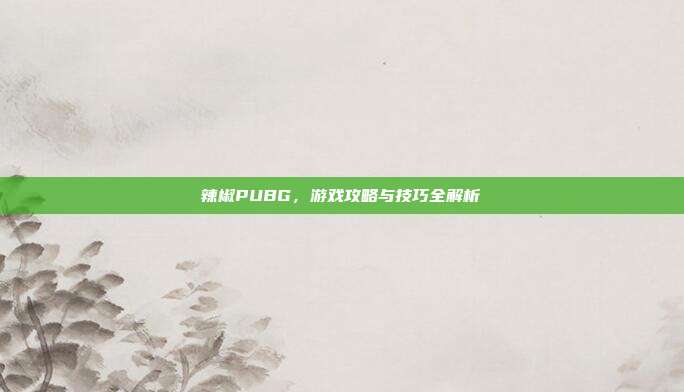 辣椒PUBG,游戏攻略与技巧全解析