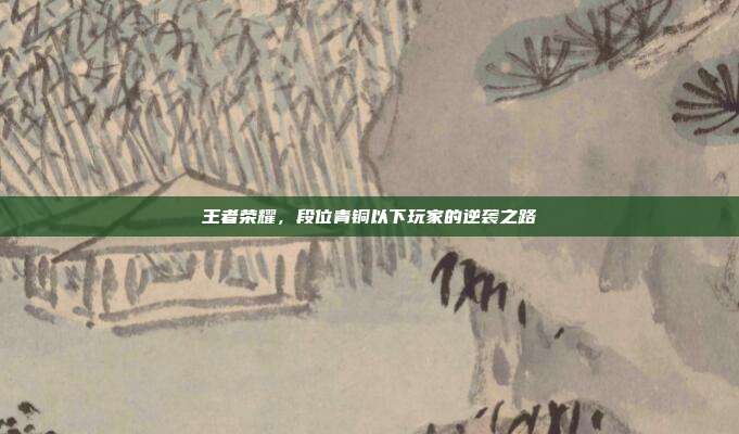王者荣耀,段位青铜以下玩家的逆袭之路