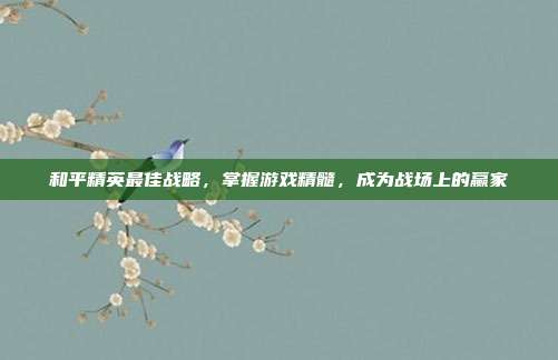 和平精英最佳战略，掌握游戏精髓，成为战场上的赢家