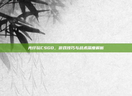光纤玩CSGO，游戏技巧与战术深度解析