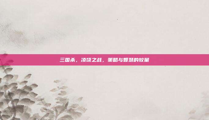 三国杀，凌饶之战，策略与智慧的较量