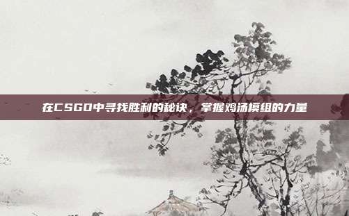 在CSGO中寻找胜利的秘诀，掌握鸡汤模组的力量
