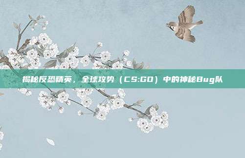 揭秘反恐精英,全球攻势(CS:GO)中的神秘Bug队