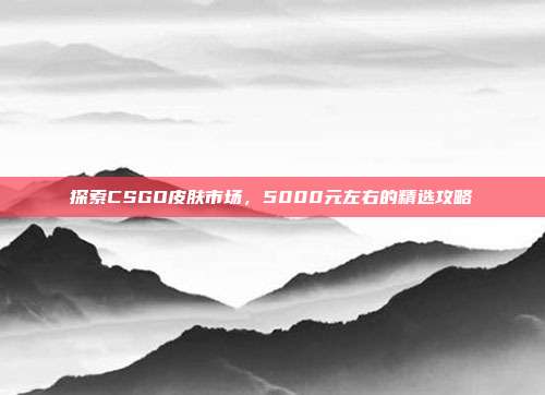 探索CSGO皮肤市场，5000元左右的精选攻略