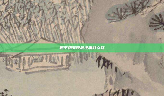 和平精英观战视角好奇怪