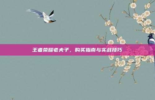王者荣耀老夫子,购买指南与实战技巧