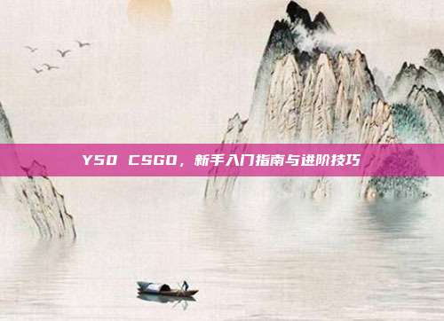 Y50 CSGO，新手入门指南与进阶技巧