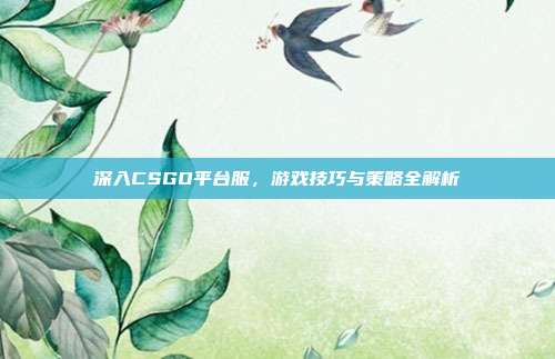 深入CSGO平台服，游戏技巧与策略全解析