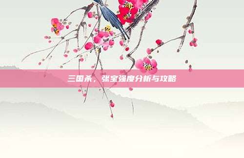 三国杀，张宝强度分析与攻略