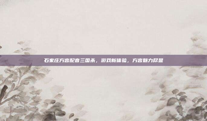 石家庄方言配音三国杀，游戏新体验，方言魅力尽显