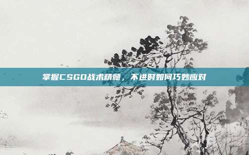 掌握CSGO战术精髓，不进时如何巧妙应对