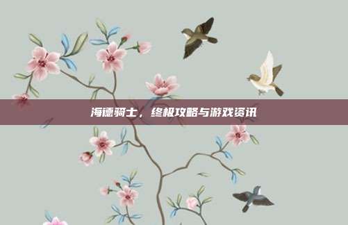 海德骑士,终极攻略与游戏资讯