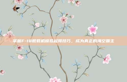 掌握F-18舰载机模拟起降技巧,成为真正的海空霸主