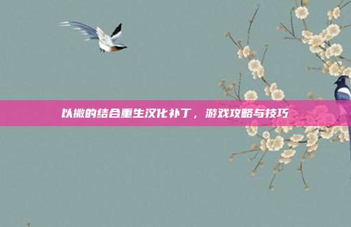 以撒的结合重生汉化补丁,游戏攻略与技巧