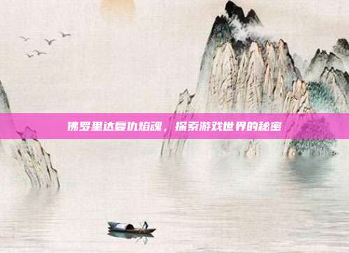 佛罗里达复仇焰魂,探索游戏世界的秘密