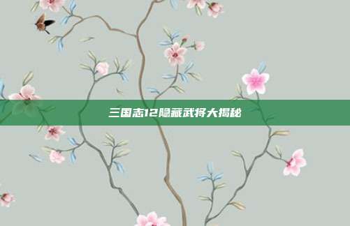 三国志12隐藏武将大揭秘