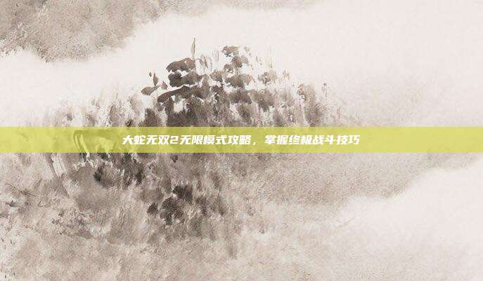 大蛇无双2无限模式攻略,掌握终极战斗技巧