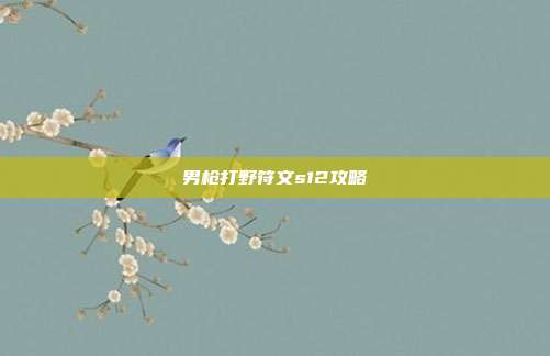 男枪打野符文s12攻略