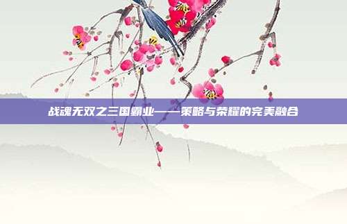 战魂无双之三国霸业——策略与荣耀的完美融合