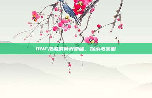 DNF浓缩的异界精髓，探索与策略