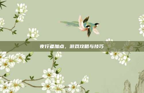 夜行者加点，游戏攻略与技巧