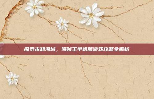 探索未知海域，海贼王单机版游戏攻略全解析