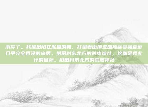 雨停了。我拔出陷在泥里的鞋，打量着面前这座被藤蔓和苔藓几乎完全吞没的鸟居。绀田村东北方的荒废神社，这就是我此行的目标。绀田村东北方的荒废神社