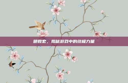 明教宏，揭秘游戏中的终极力量