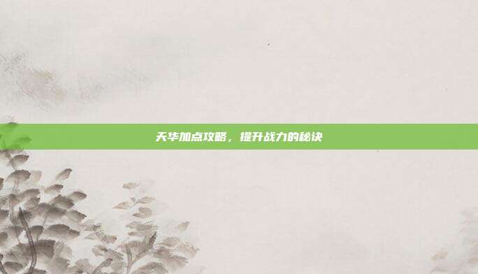 天华加点攻略，提升战力的秘诀