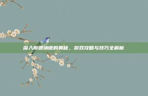 深入斯通纳德的奥秘，游戏攻略与技巧全解析
