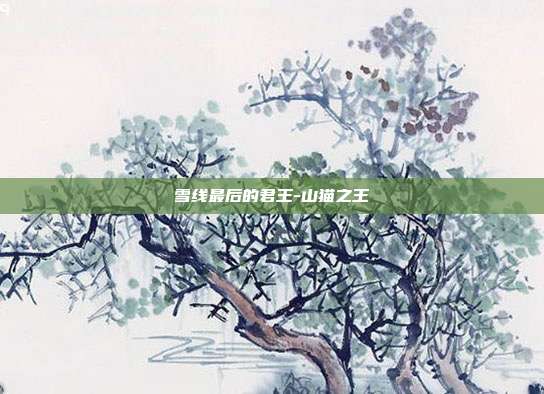 雪线最后的君王-山猫之王