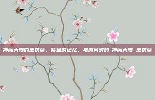 神魔大陆的薰衣草，紫色的记忆，与时间对峙-神魔大陆 薰衣草